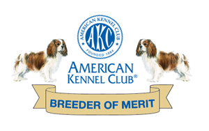 AKC Breeder of Merit Award