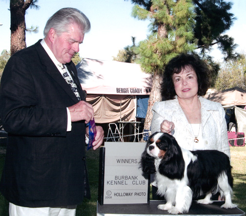 Robbie winning at the Burbank Kennel Club Dog Show